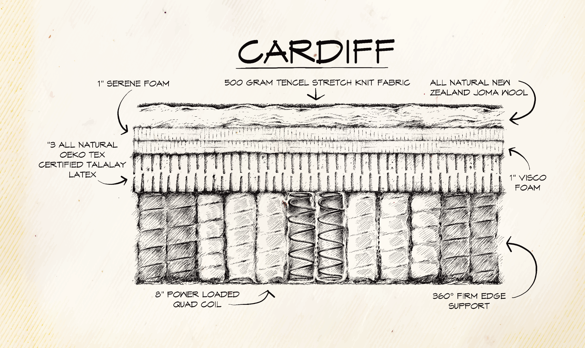 The Cardiff