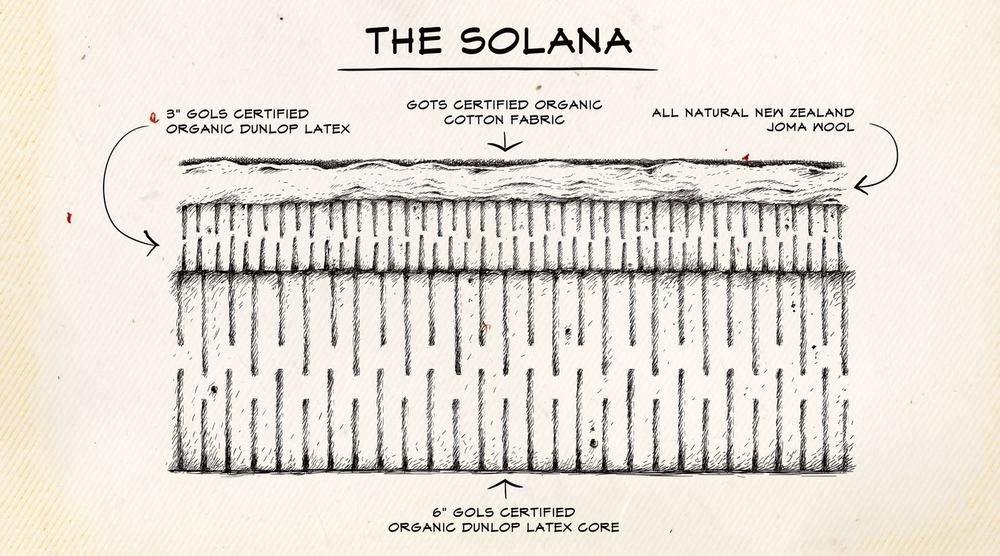 See What Makes The <i>Solana</i> Family Different