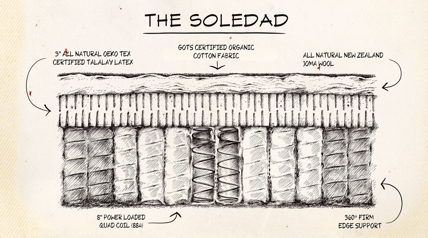 See What Makes The <i>Soledad Family</i> Different